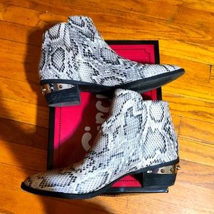 Circus...Animal print booties